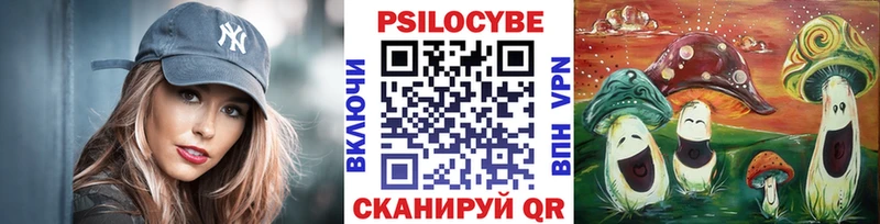 купить наркотик  Лянтор  Псилоцибиновые грибы мицелий 